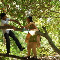Nenu Nanna Abaddam Movie New Pictures | Picture 60704
